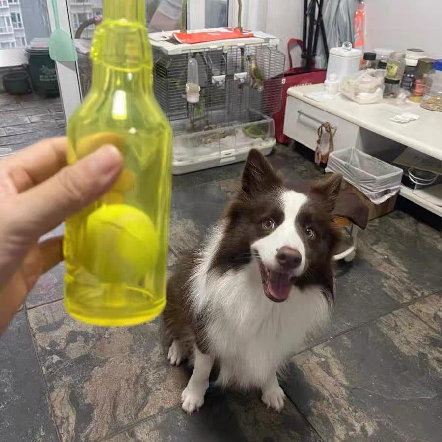 Chewable Tennis Ball Bottle