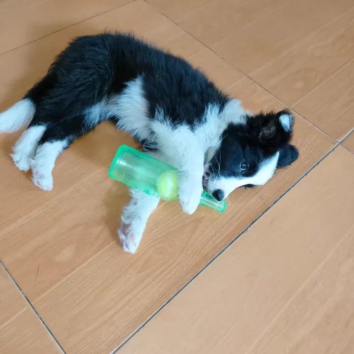 Chewable Tennis Ball Bottle